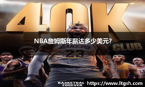 NBA詹姆斯年薪达多少美元？